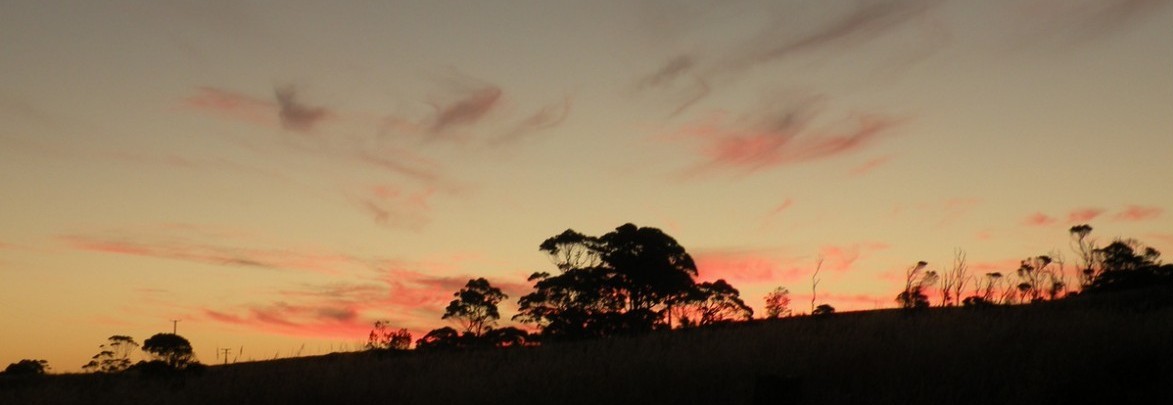 Tasmania at dusk